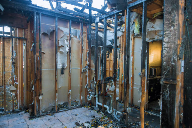 Professional Fire Damage Repair technician working in Gotha, FL