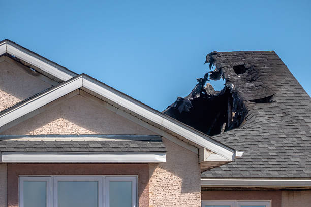 Top rated local Fire Damage Repair specialists in Gotha, FL